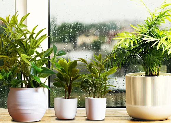 chuvas-e-ventos-fortes-atencao-com-objetos-nas-janelas